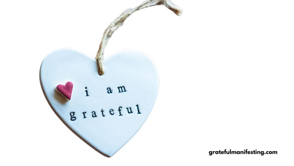How To Use Gratitude To Manifest Abundance & What You Want - Powerful & Easy Ways - gratefulmanifesting